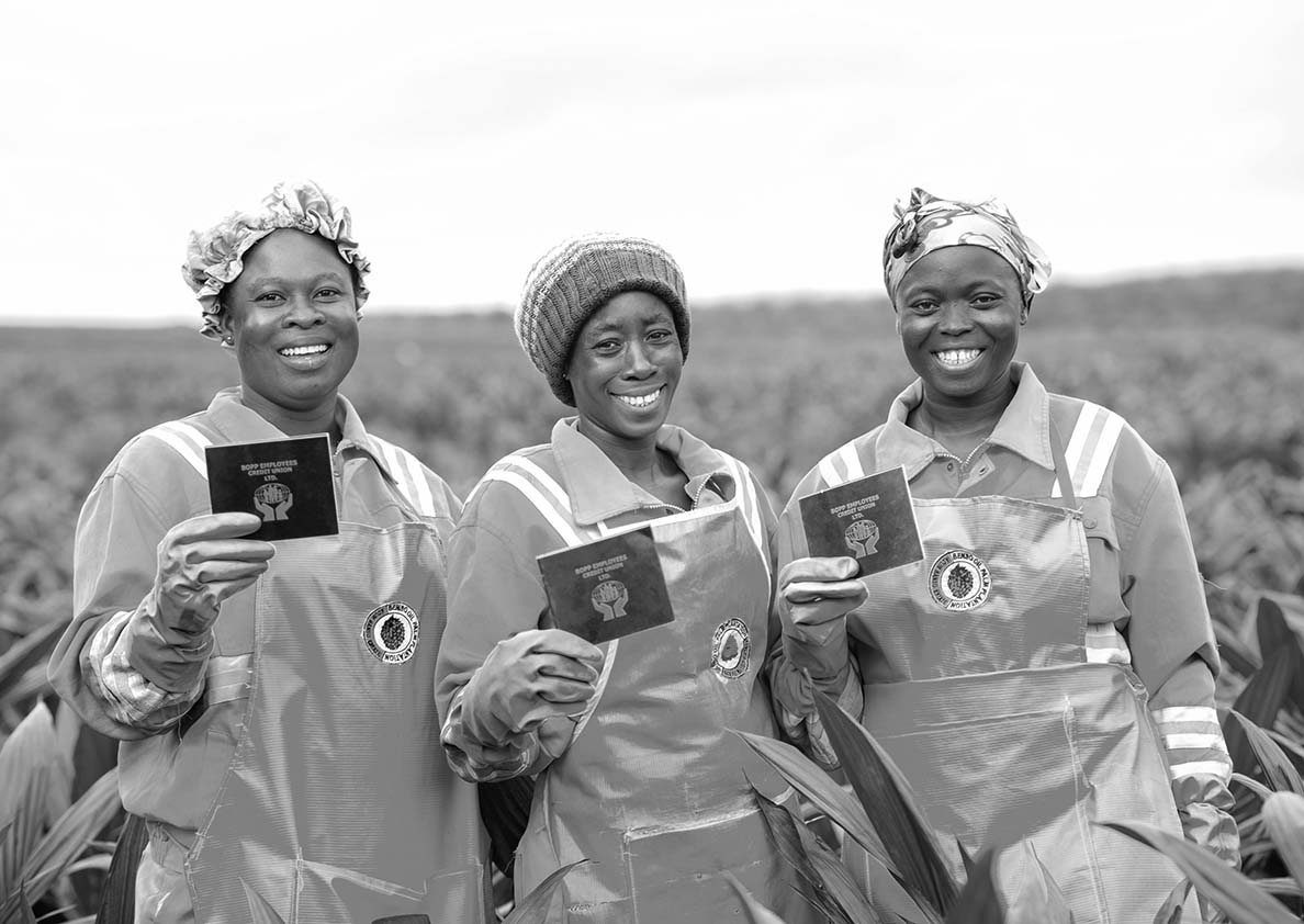 Image gallery marquee